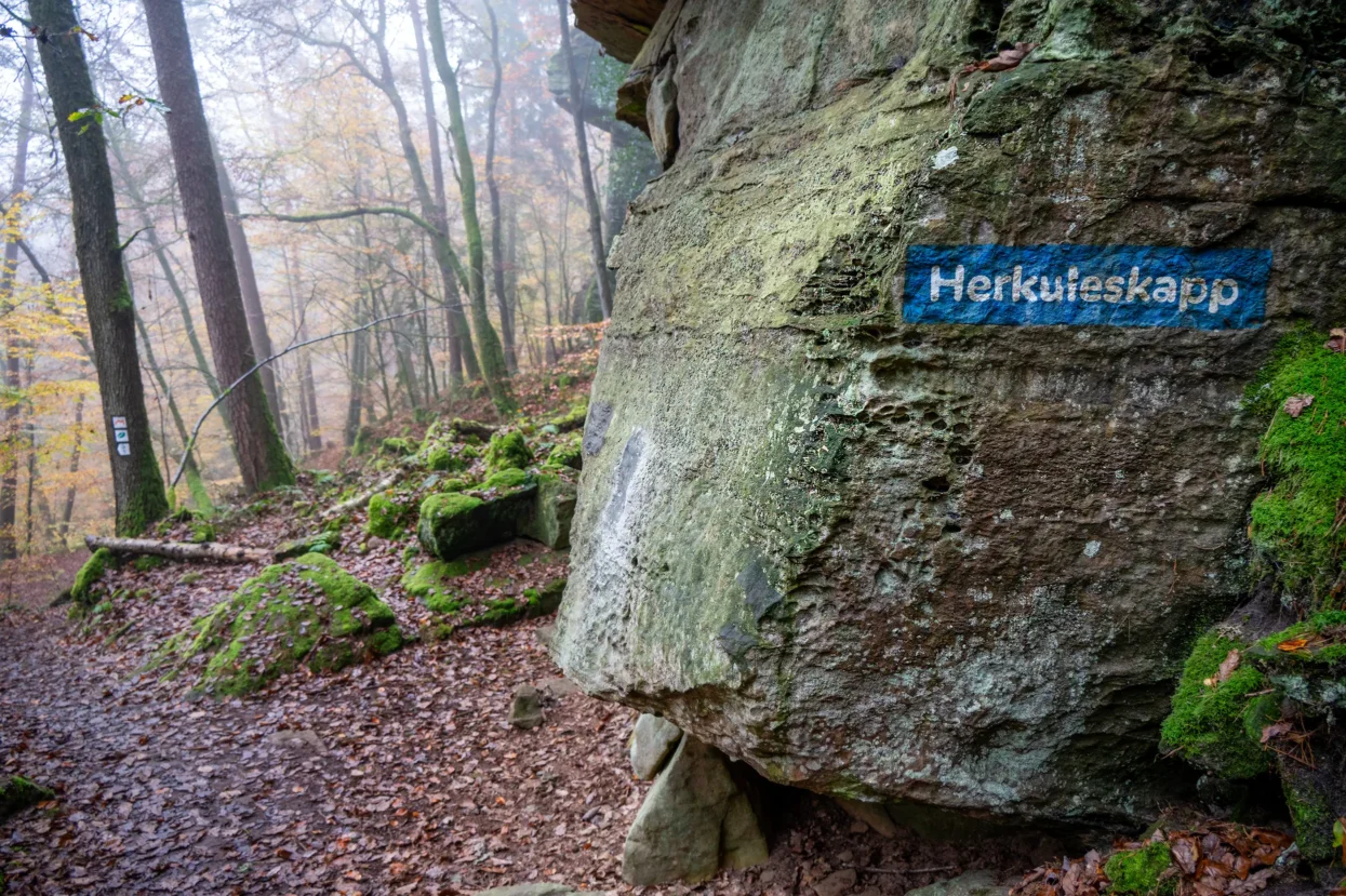 Mullerthal Extra Route B