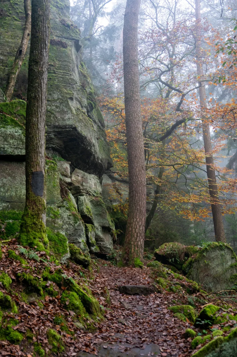 Mullerthal Extra Route B