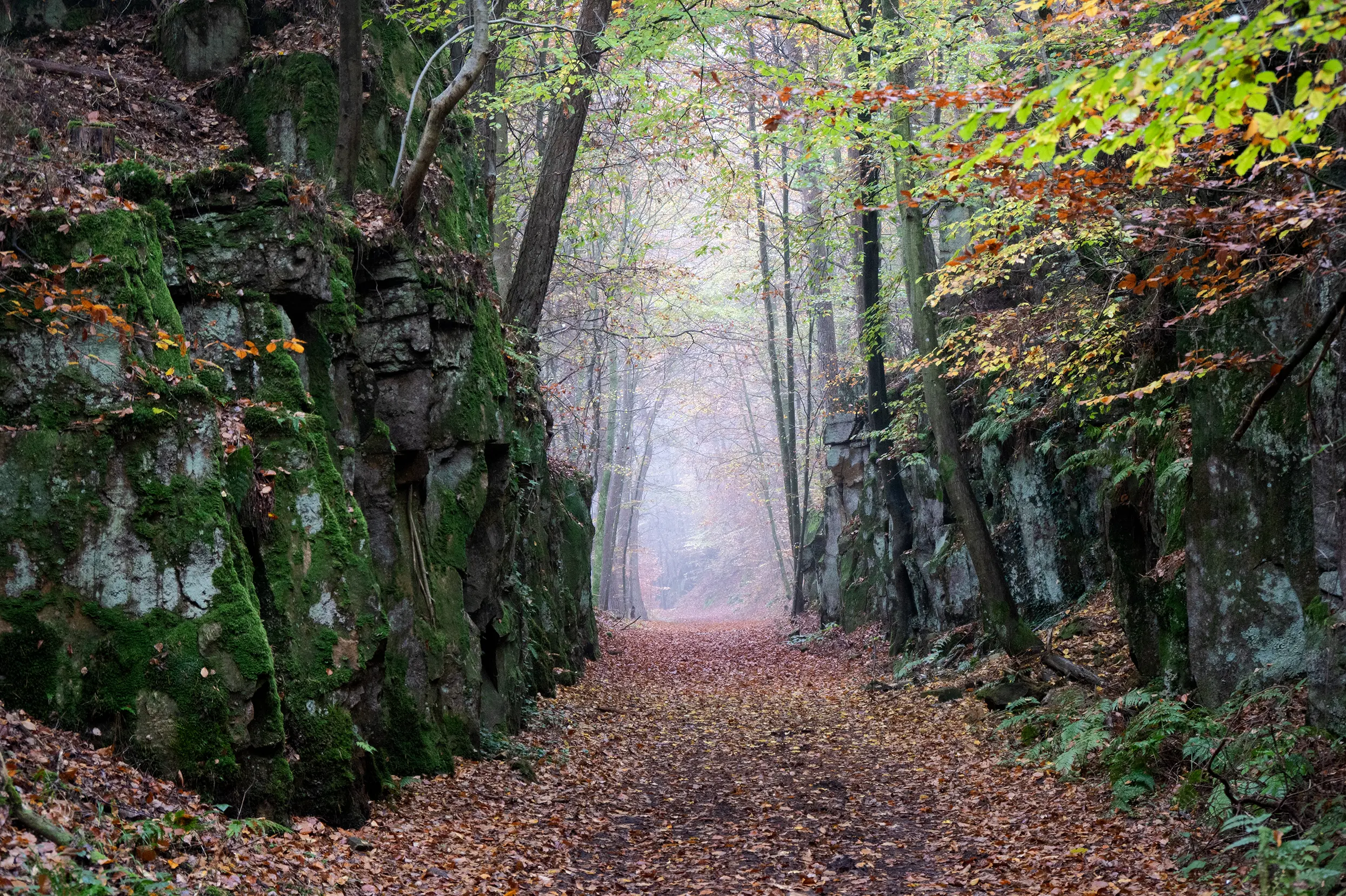 Mullerthal Extra Route B