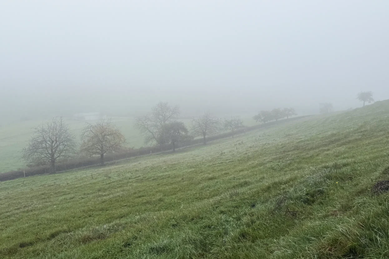 Mullerthal Extra Route B