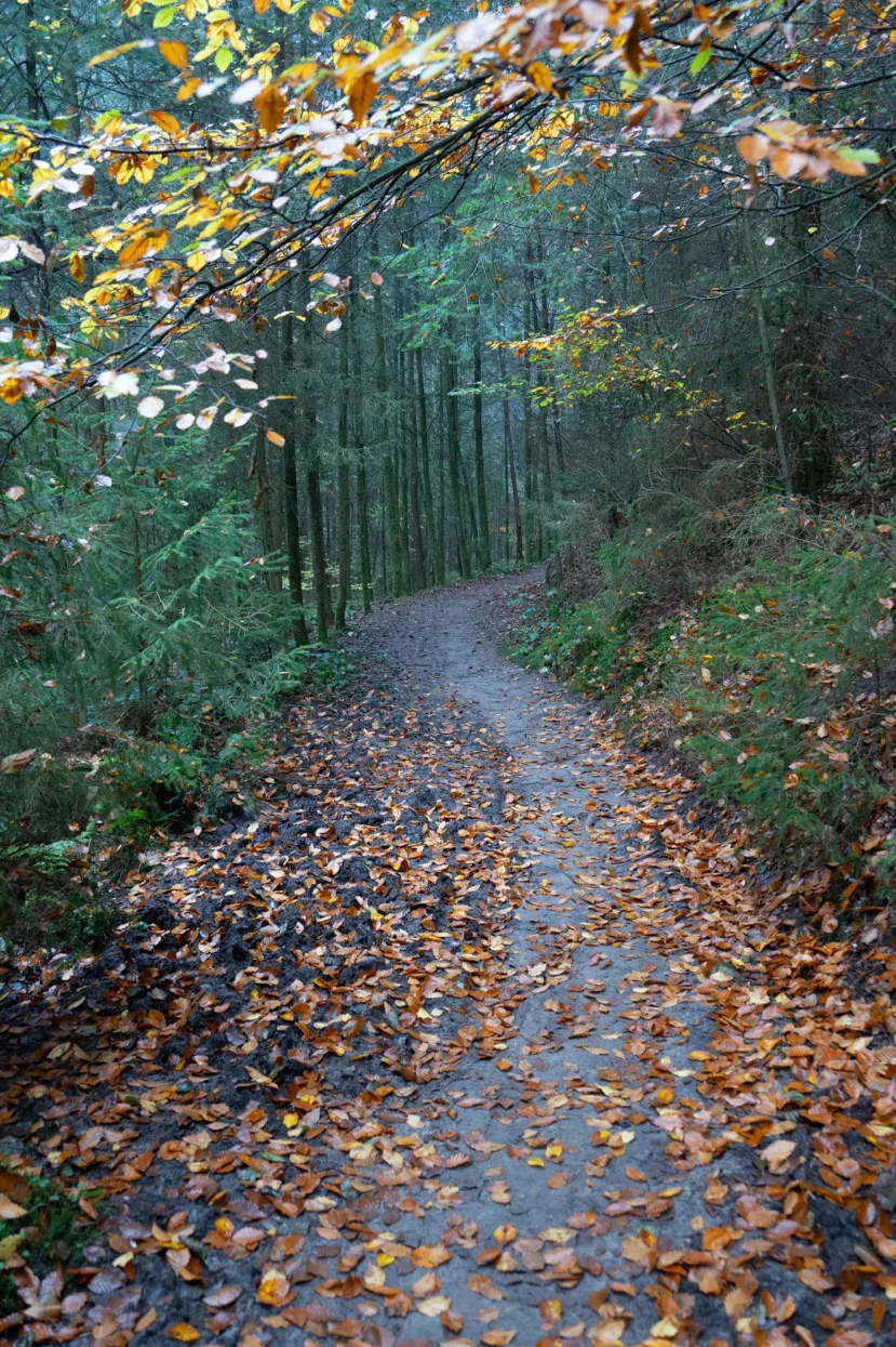 Mullerthal, langs de Haupeschbaach
