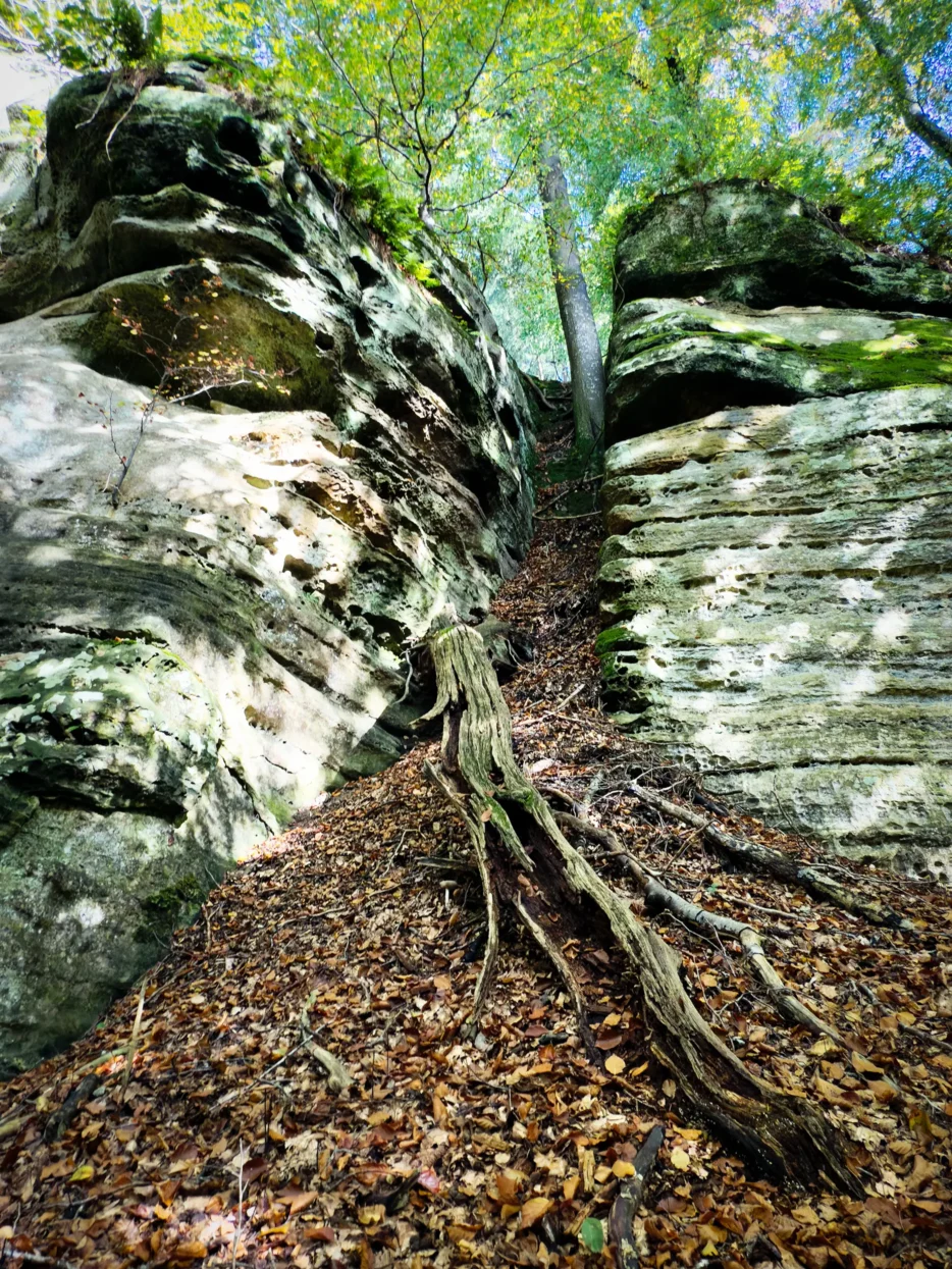 Mullerthal, Extra Route C