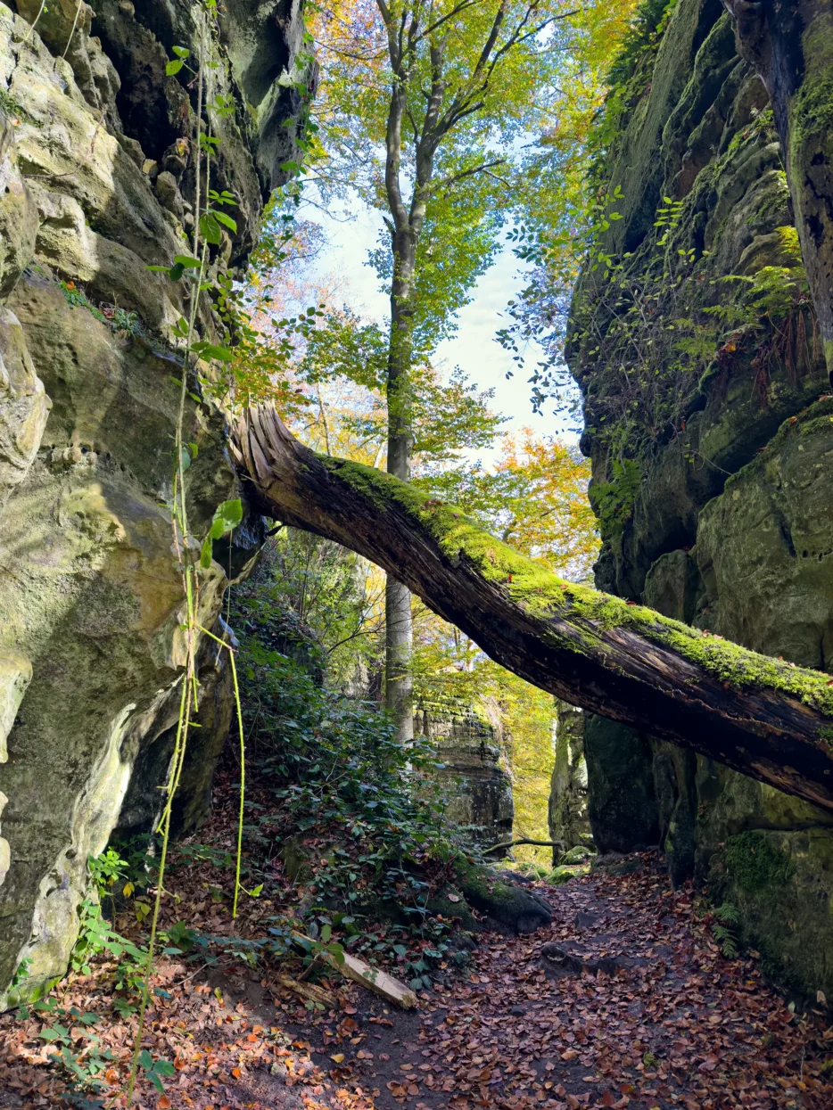 Mullerthal, Extra Route C