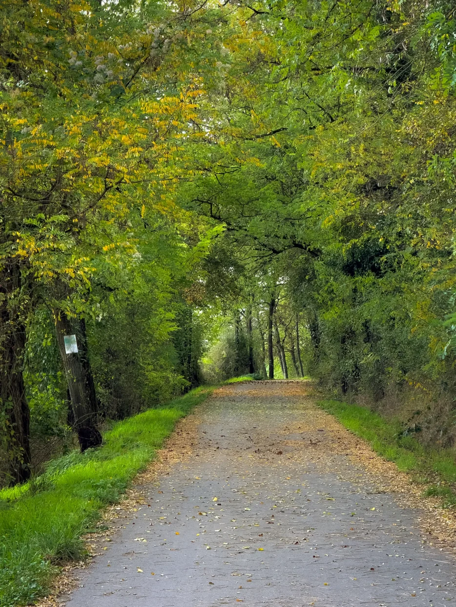 Mullerthal, Extra Route C