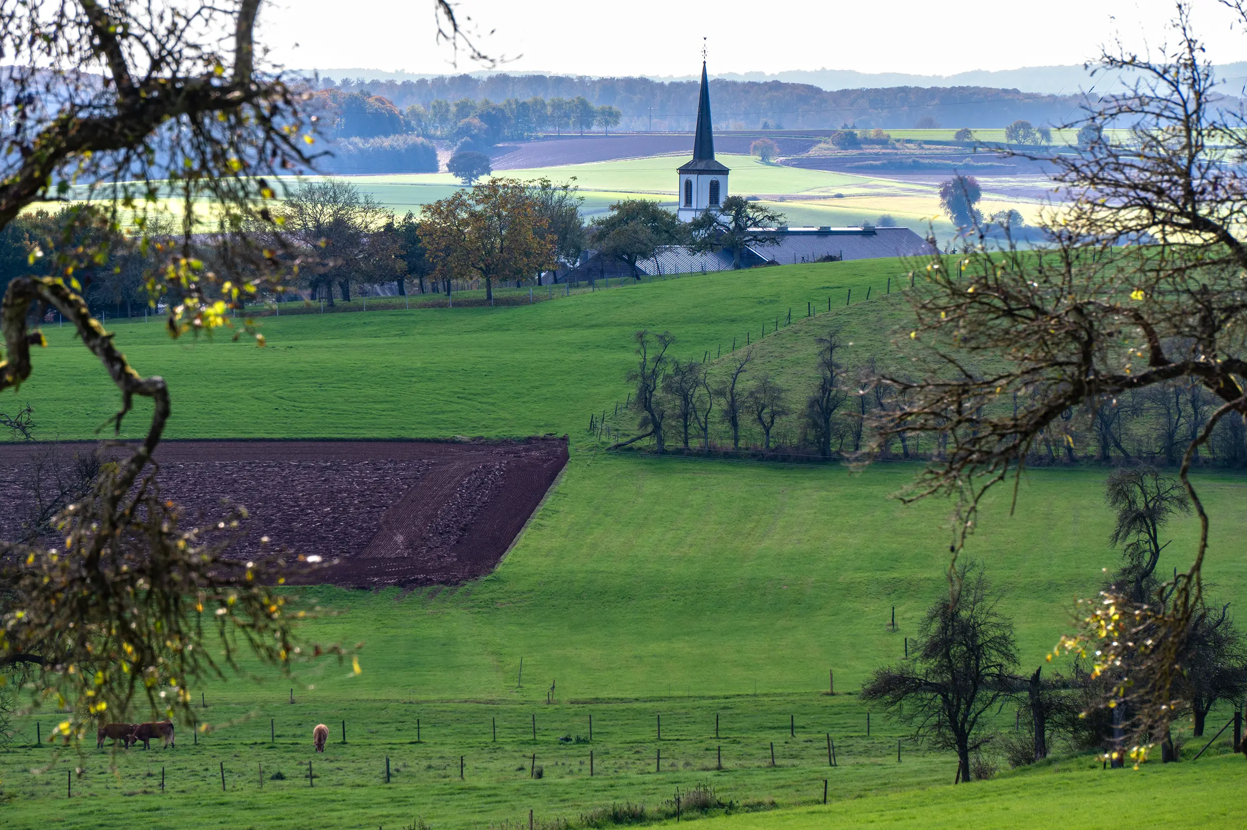 Mullerthal, Extra Route C