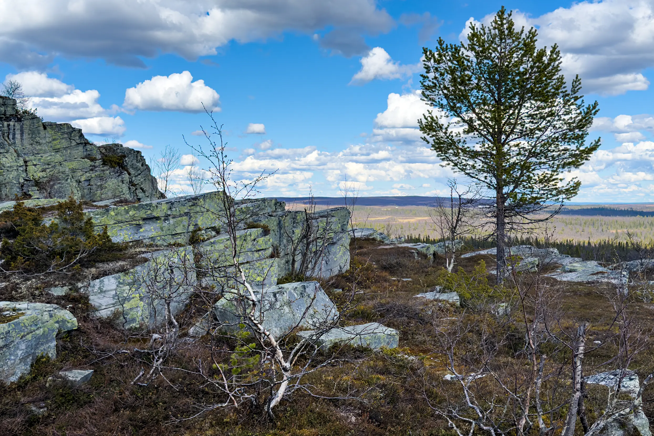 Hällmålningsrundan
