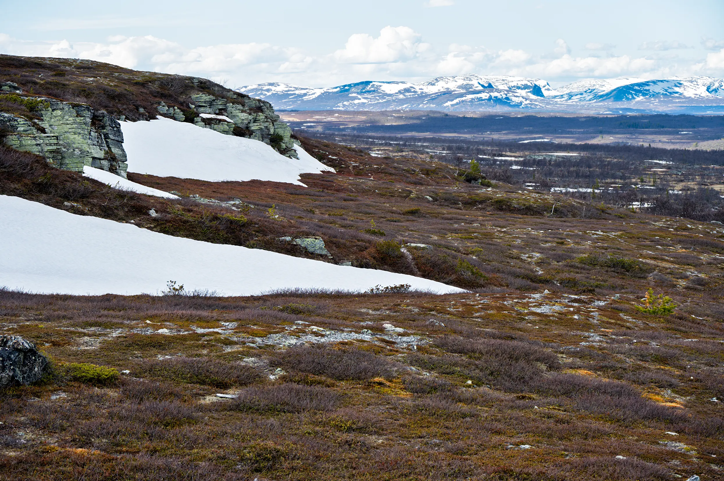 Hällmålningsrundan