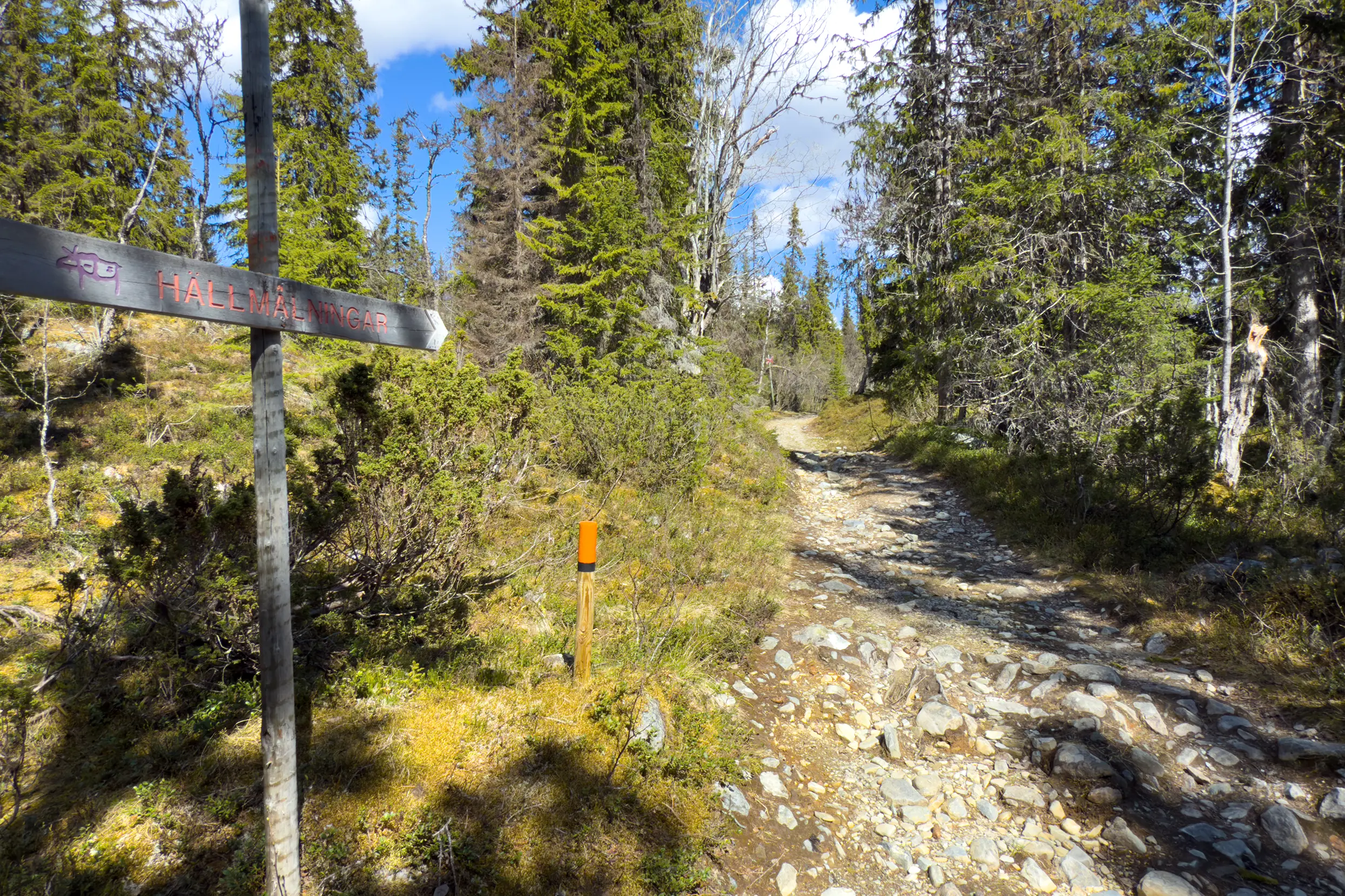 Hällmålningsrundan