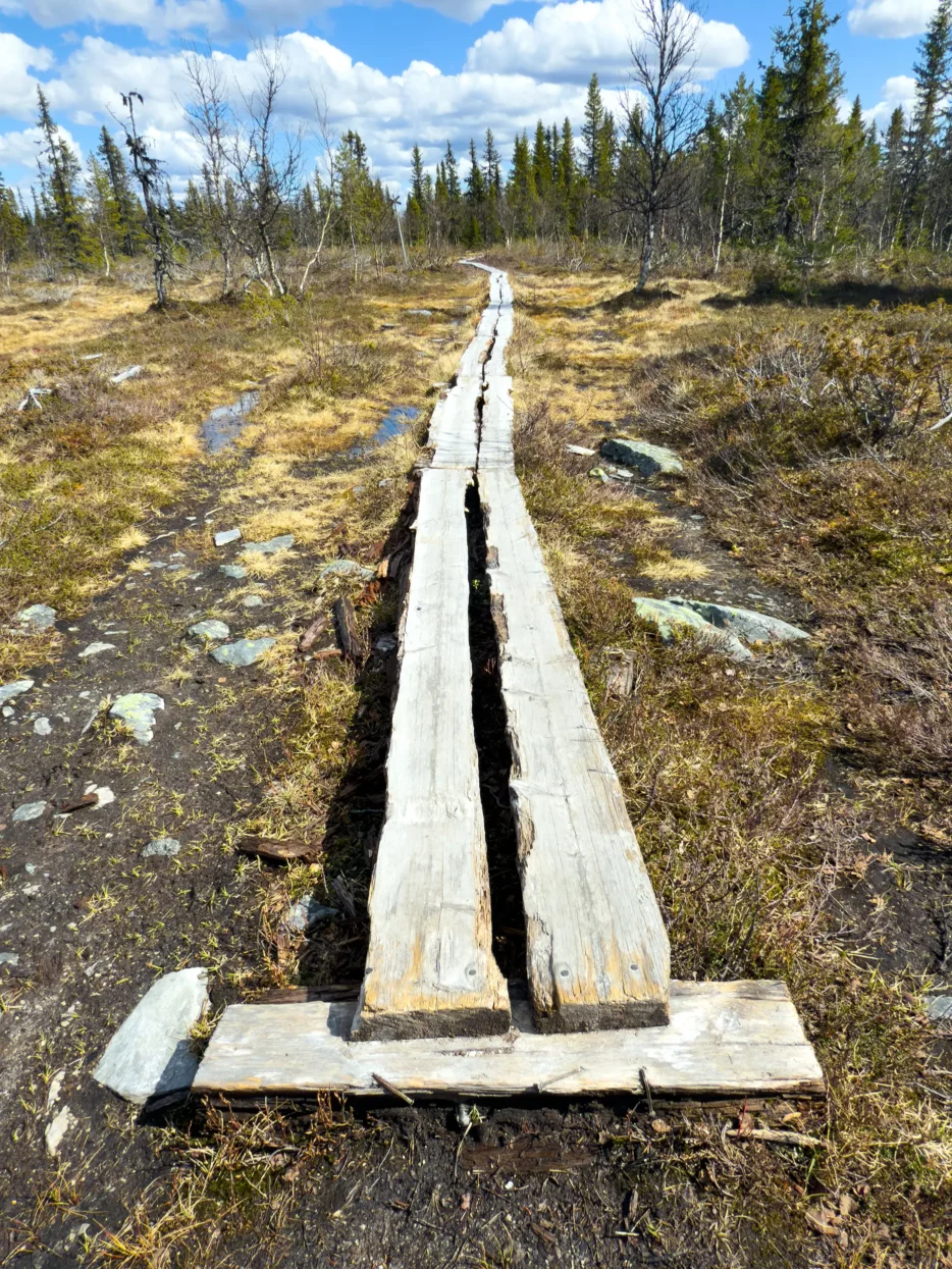 Hällmålningsrundan
