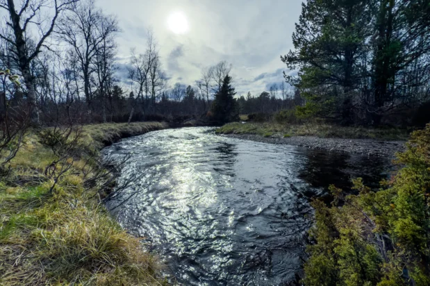 Parkeerplaats Hällmålningsrundan