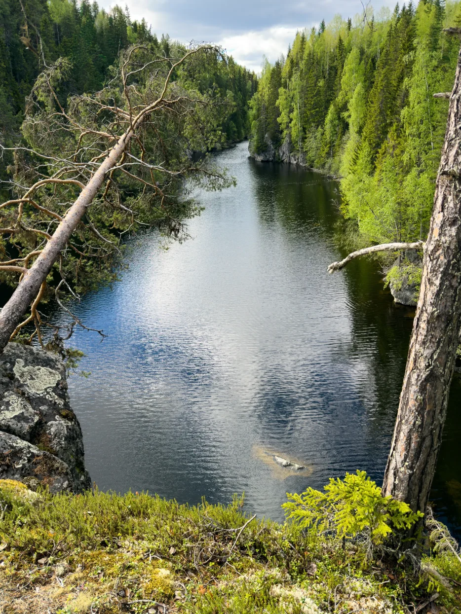 Lintjärnen