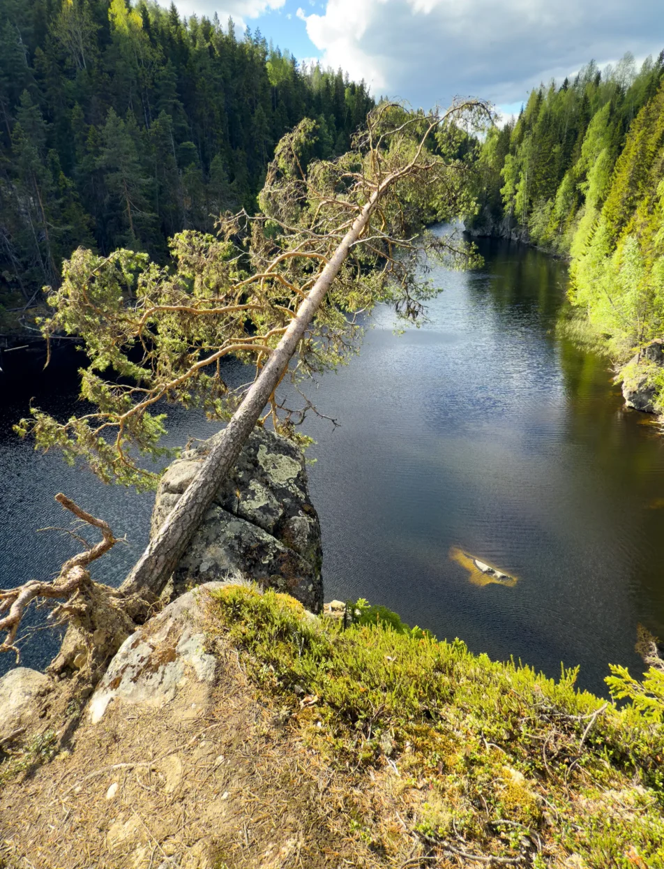 Lintjärnen