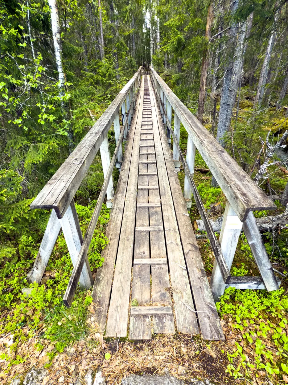 Loopbrug Naturstig