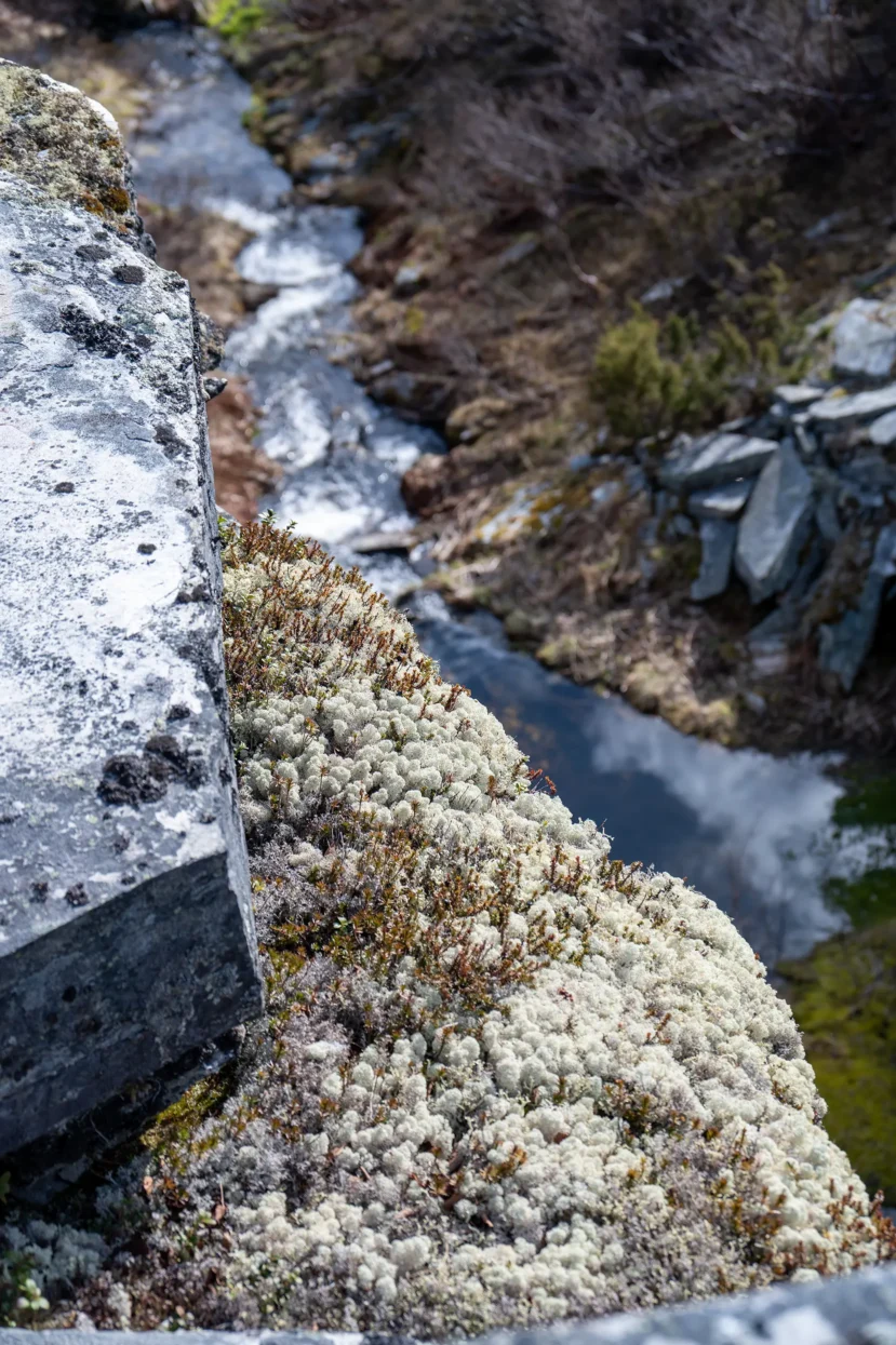 Fiskhålsgraven