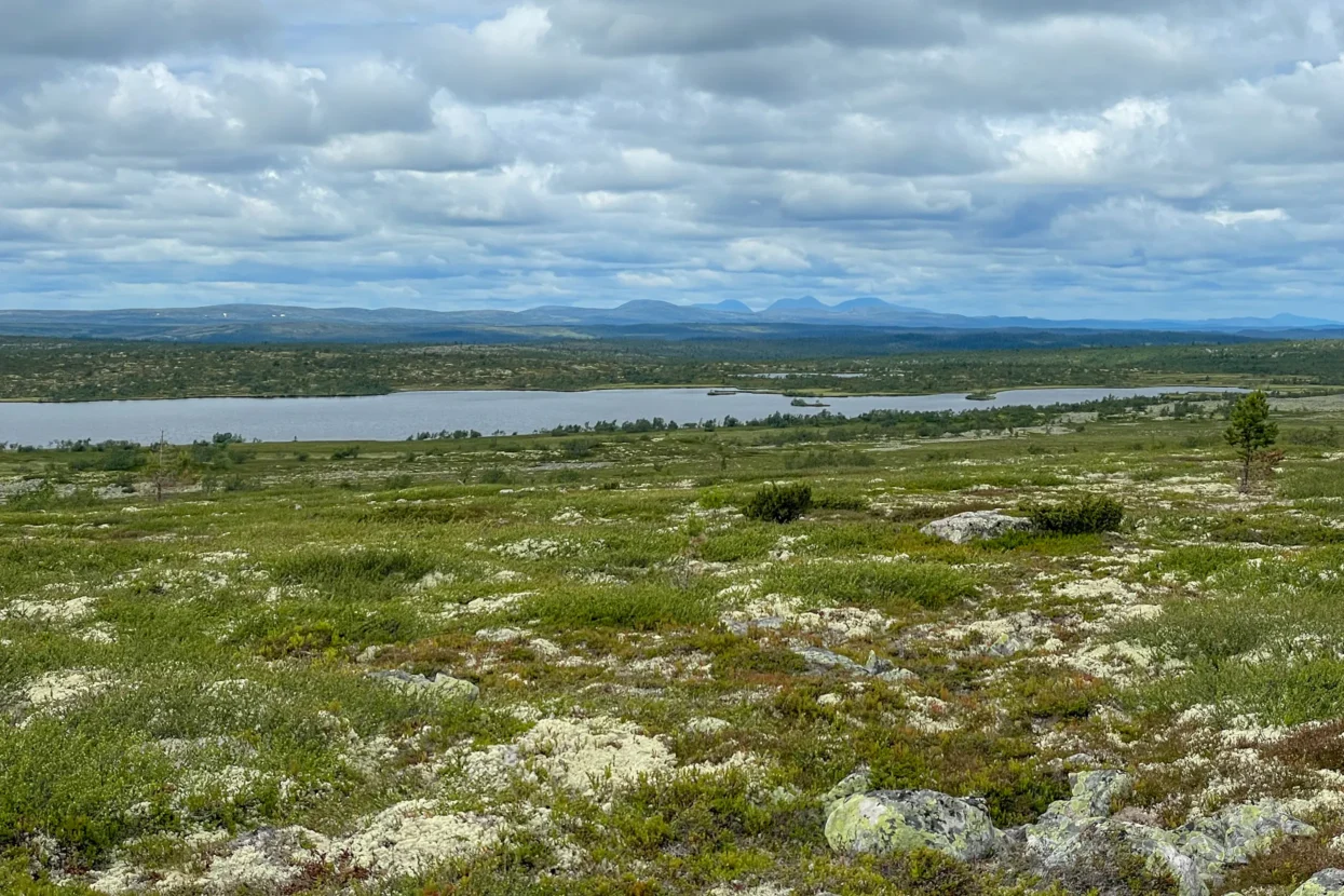 Fulufjället nationaal park