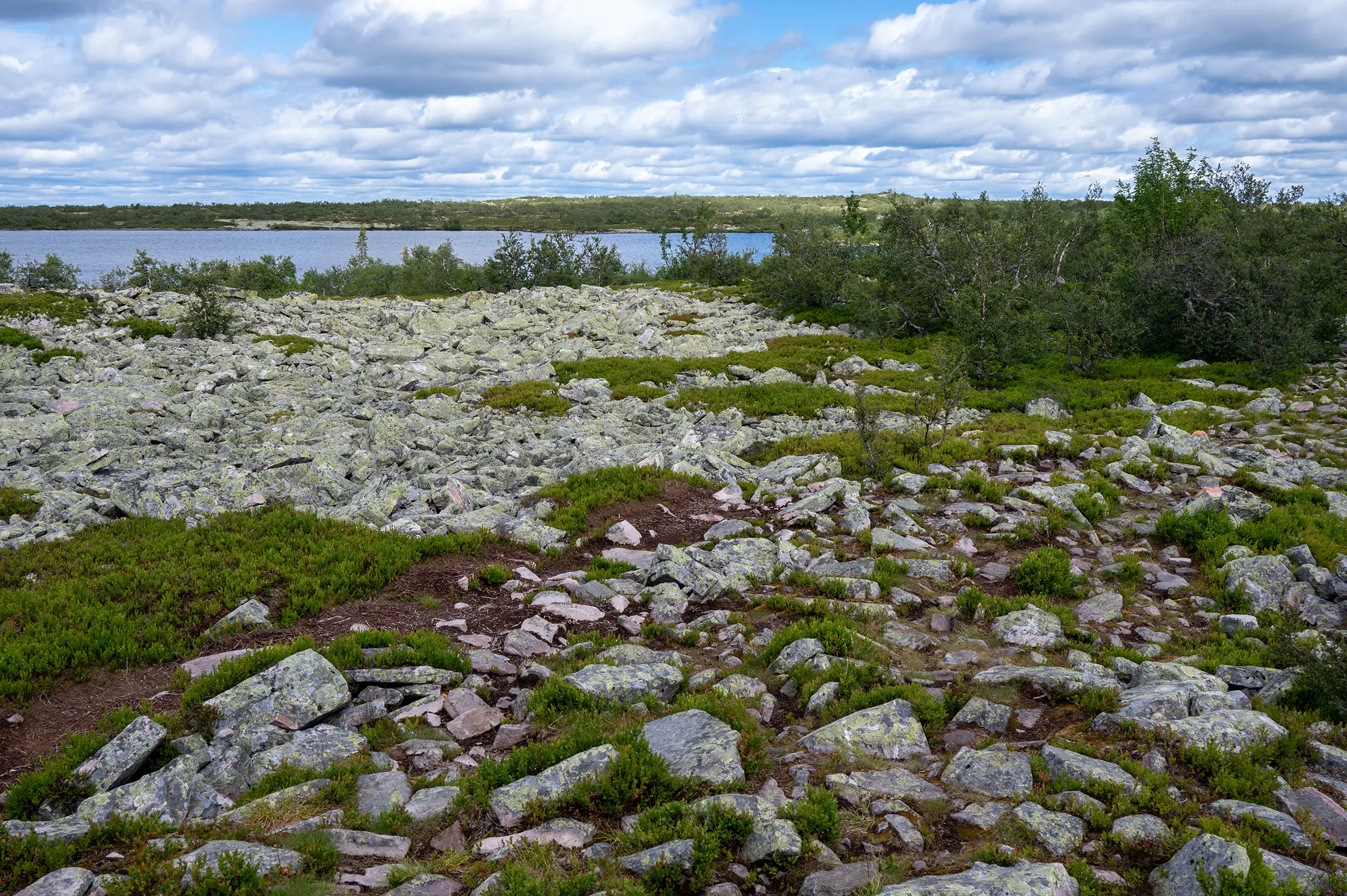 Fulufjället nationaal park