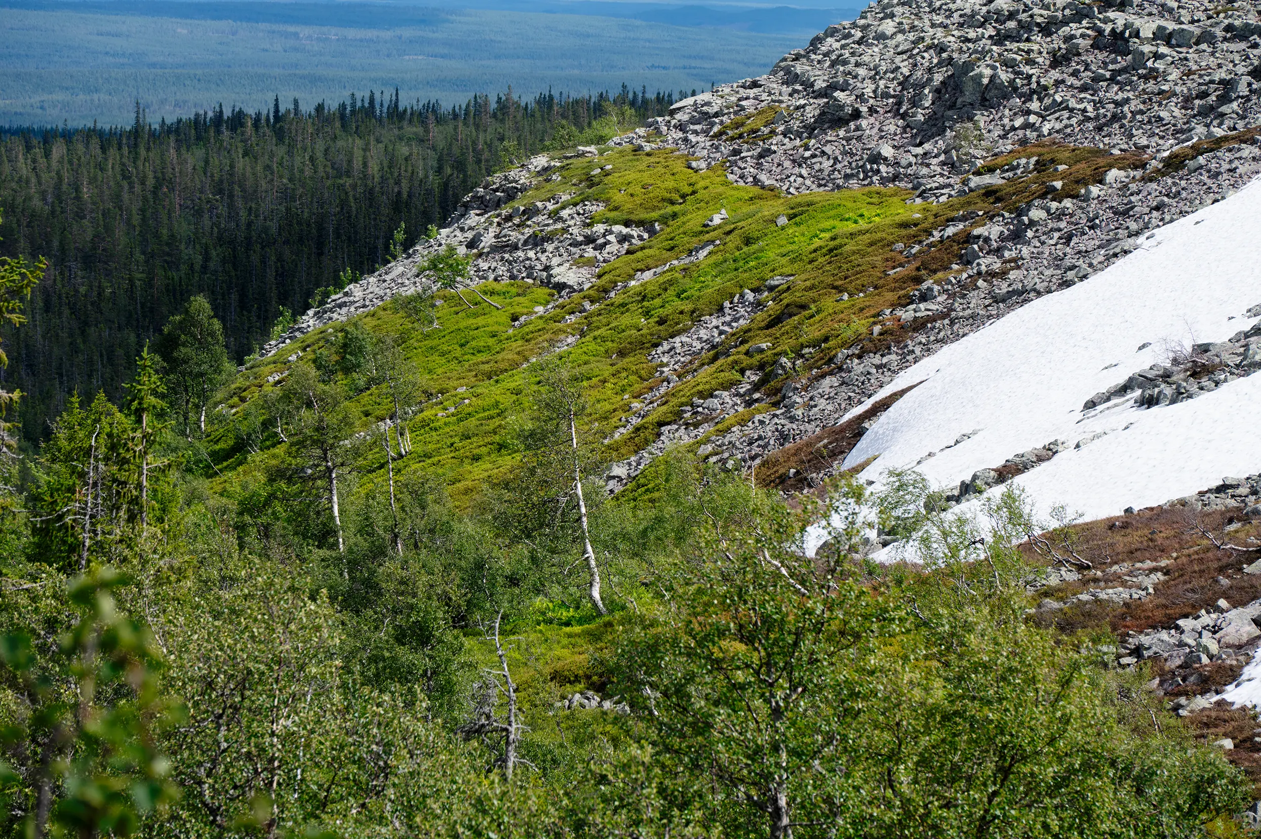 Fulufjället nationaal park