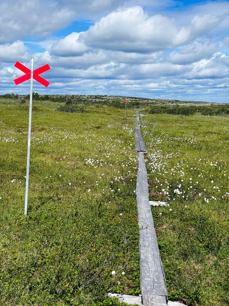 Fulufjället nationaal park