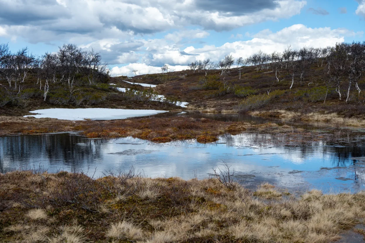 Hällmålningsrundan