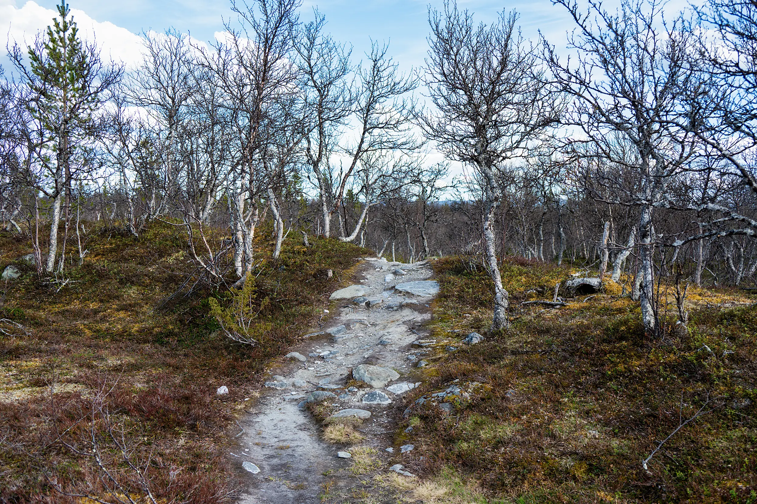 Hällmålningsrundan