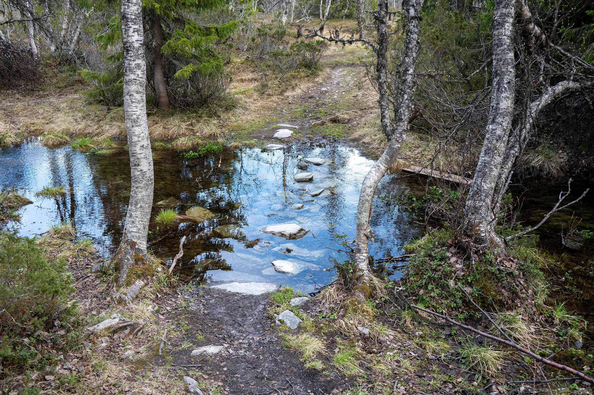 Hällmålningsrundan