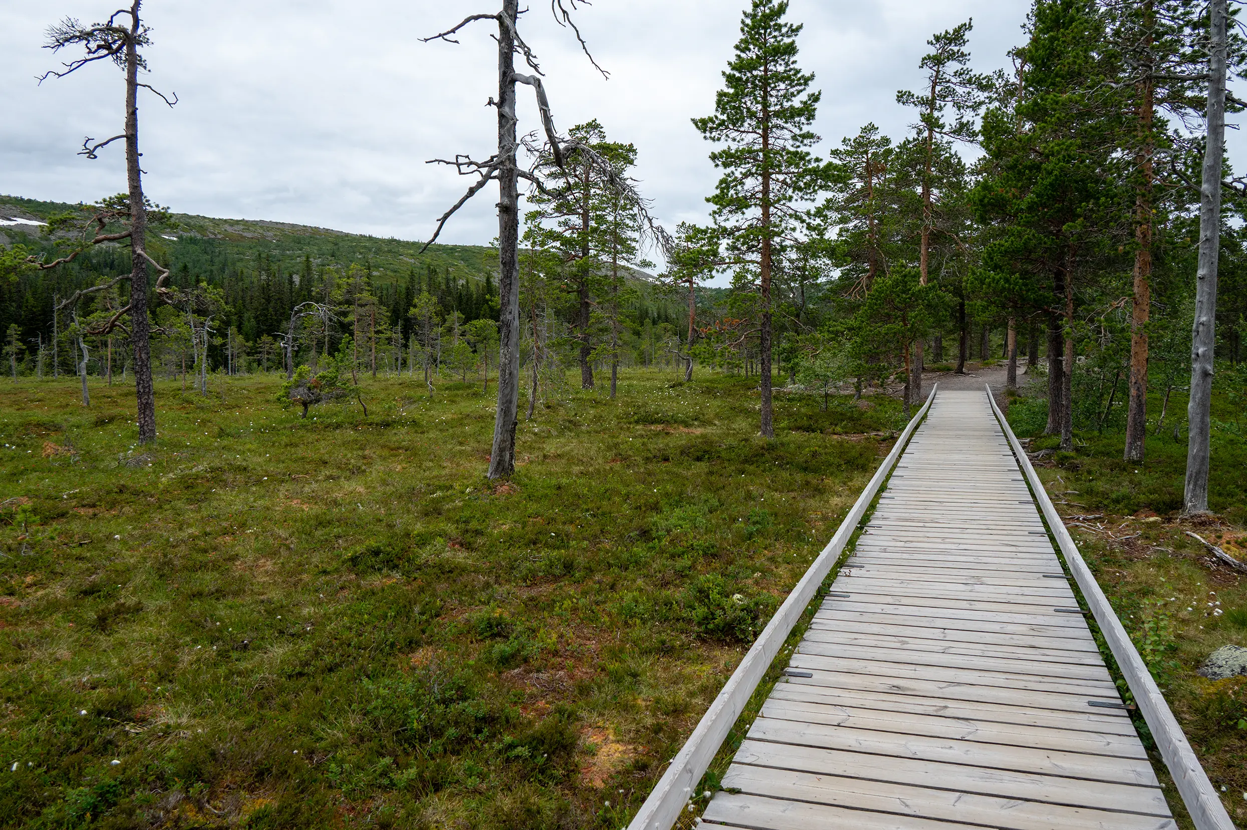 Pad naar Njupeskär