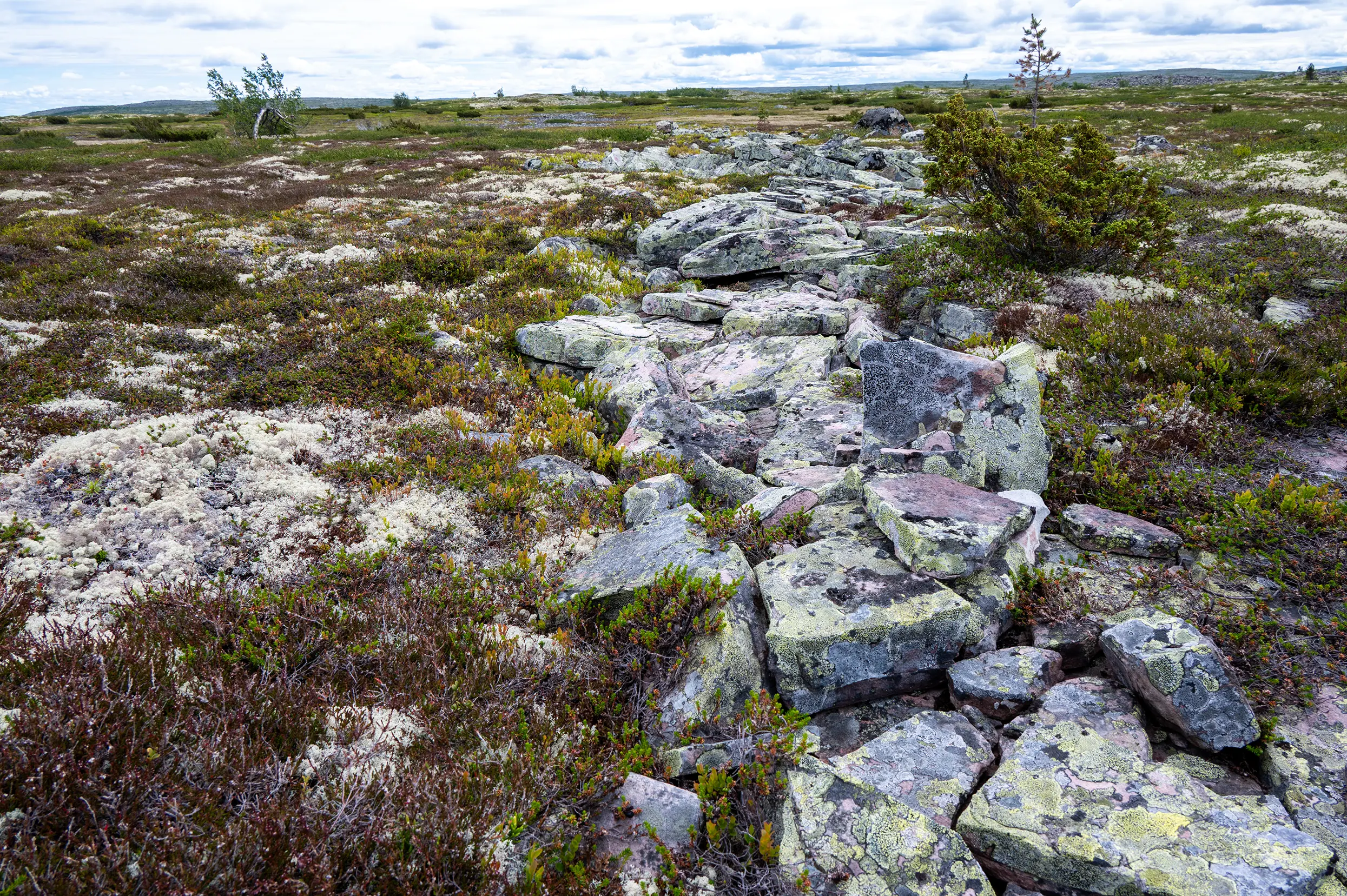 Fulufjället nationaal park
