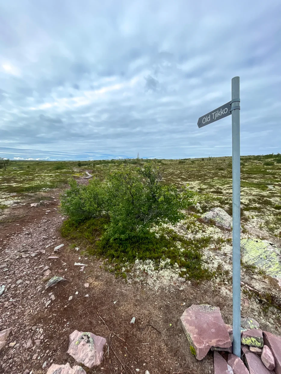 Pad naar Old Tjikko