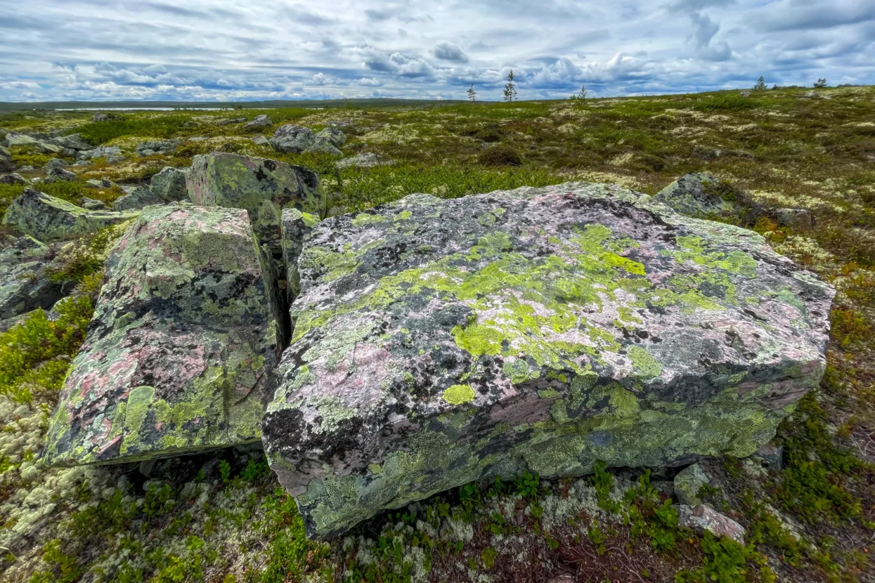 Fulufjället nationaal park: landkaartmos