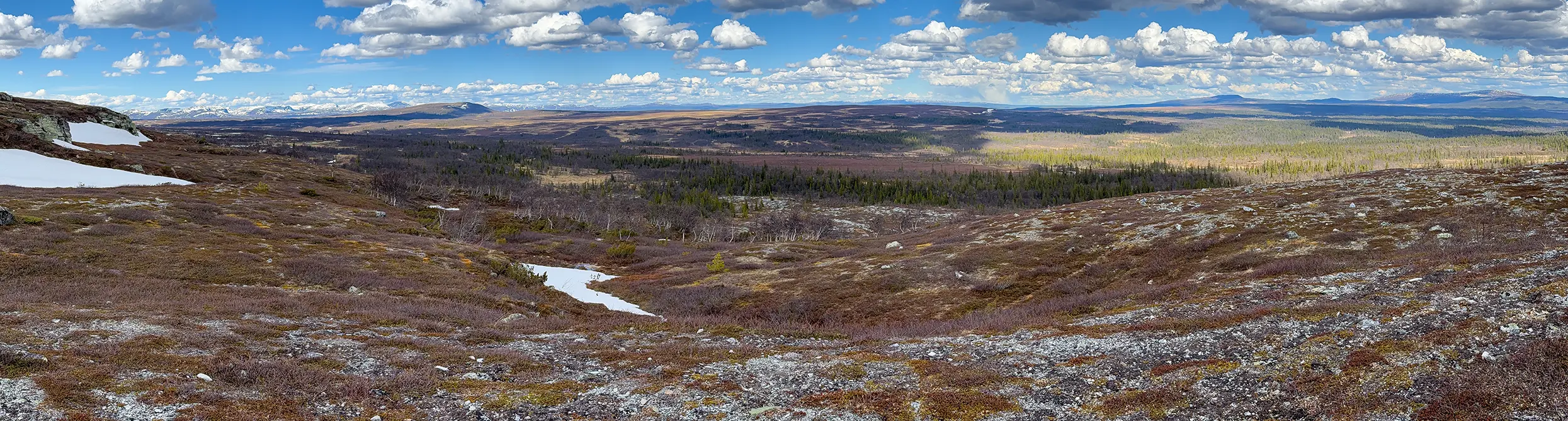 Ruändan