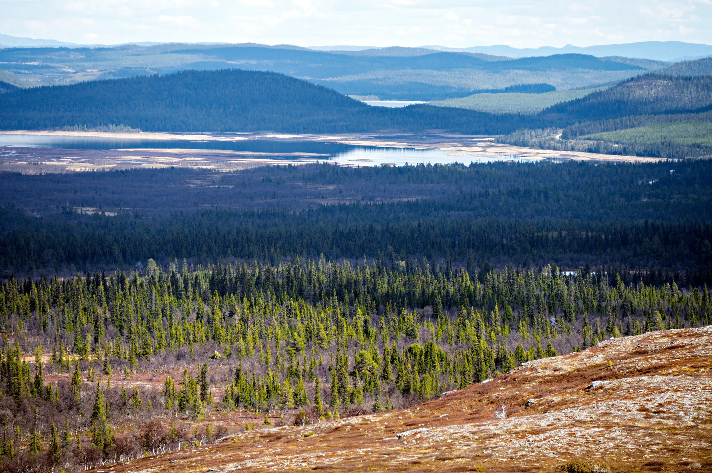 Ruändan