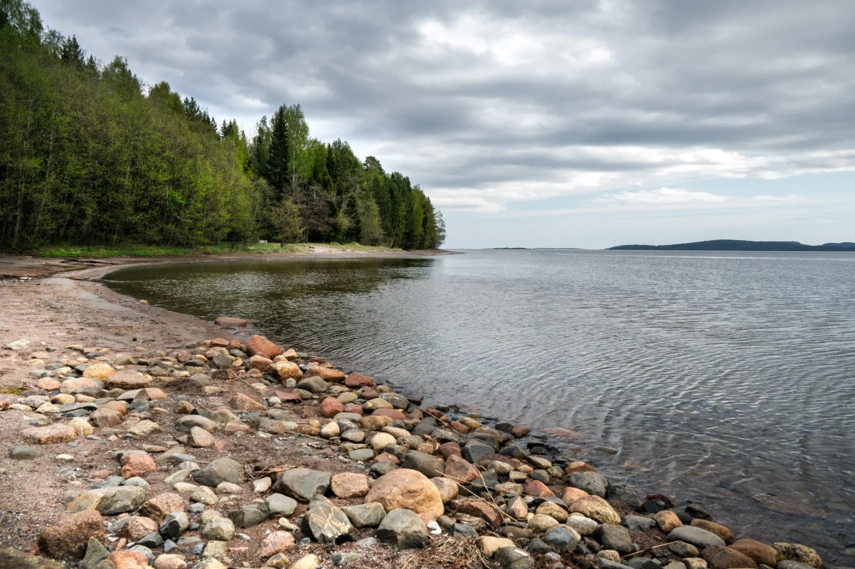 Skuleskogen NP