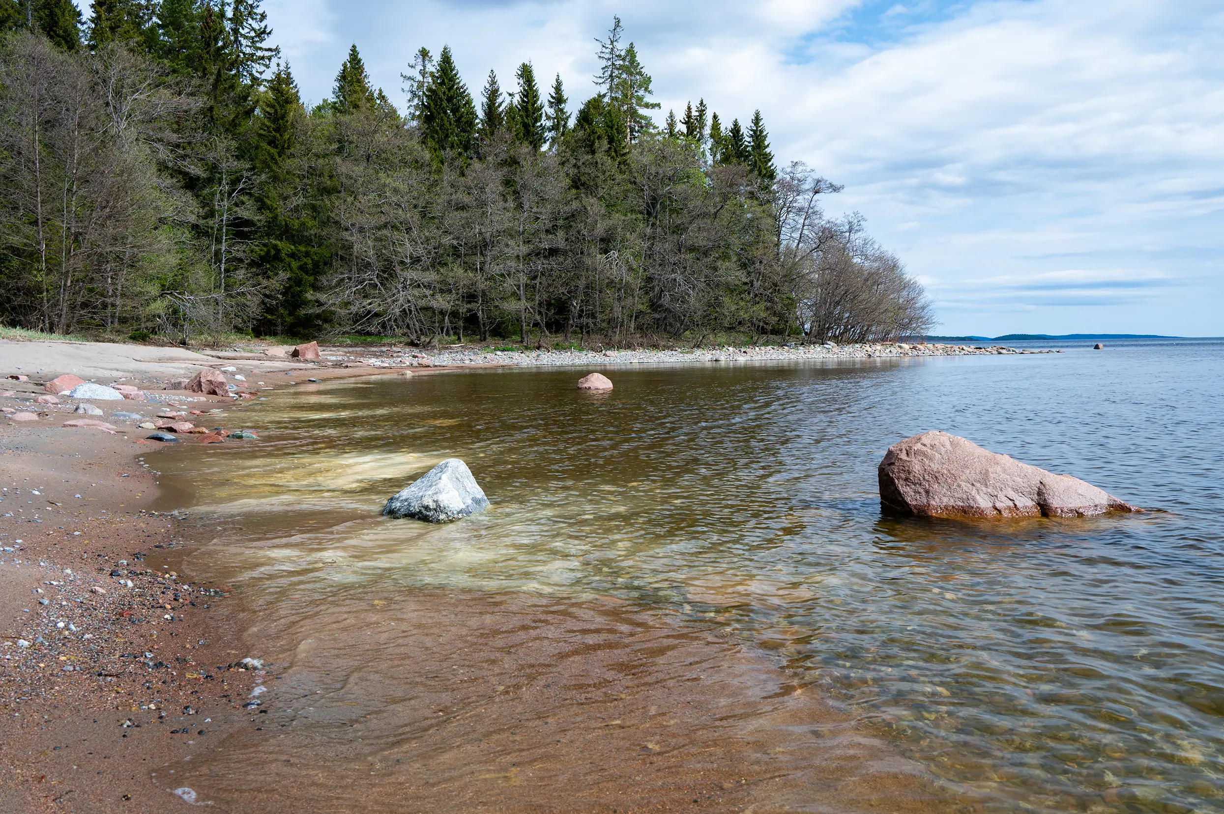 Skuleskogen NP