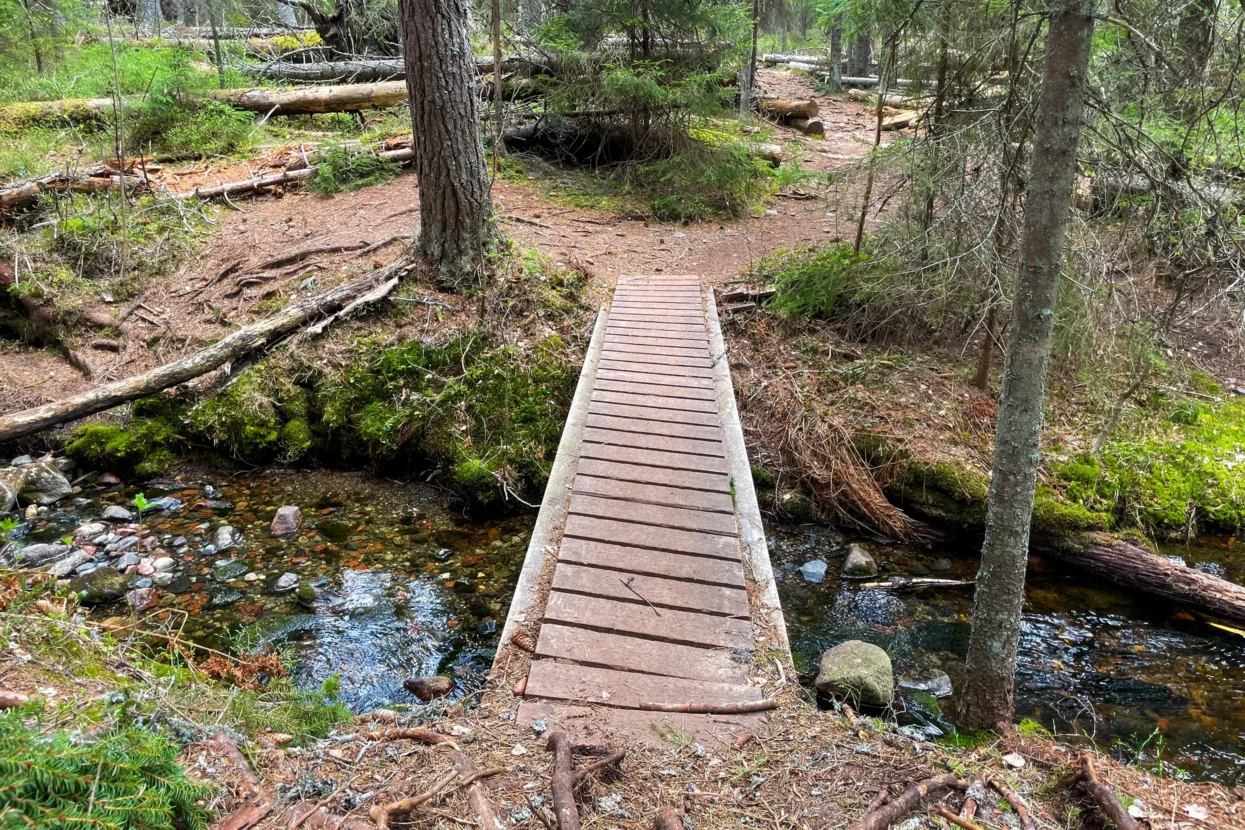 Skuleskogen NP