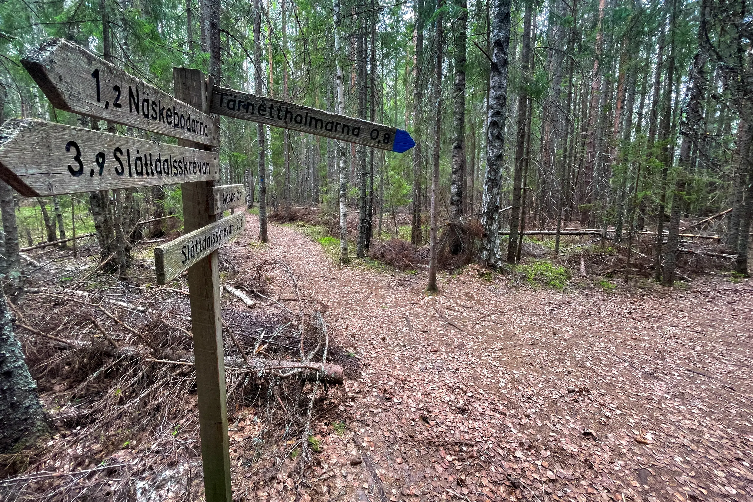 Skuleskogen NP
