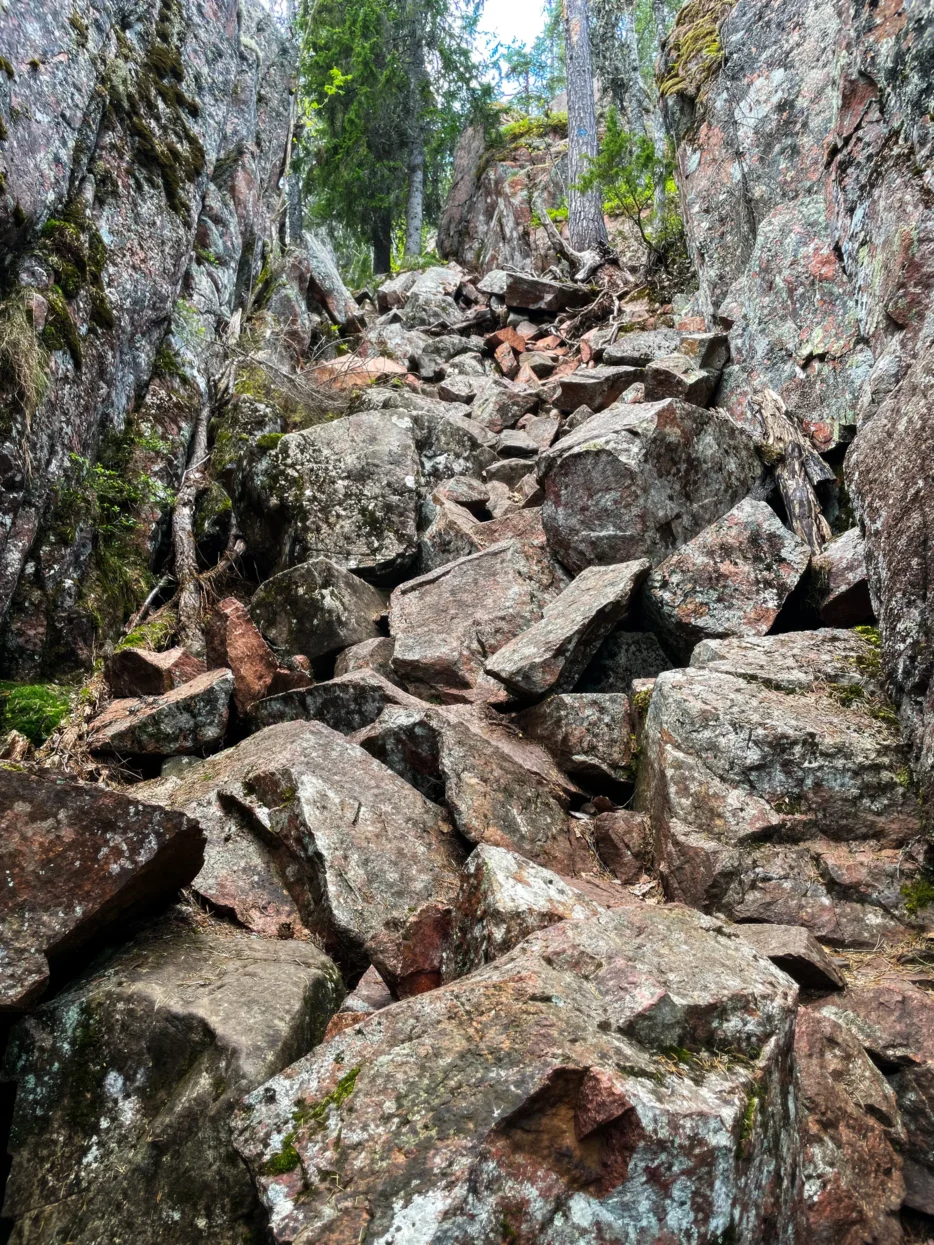 Skuleskogen NP