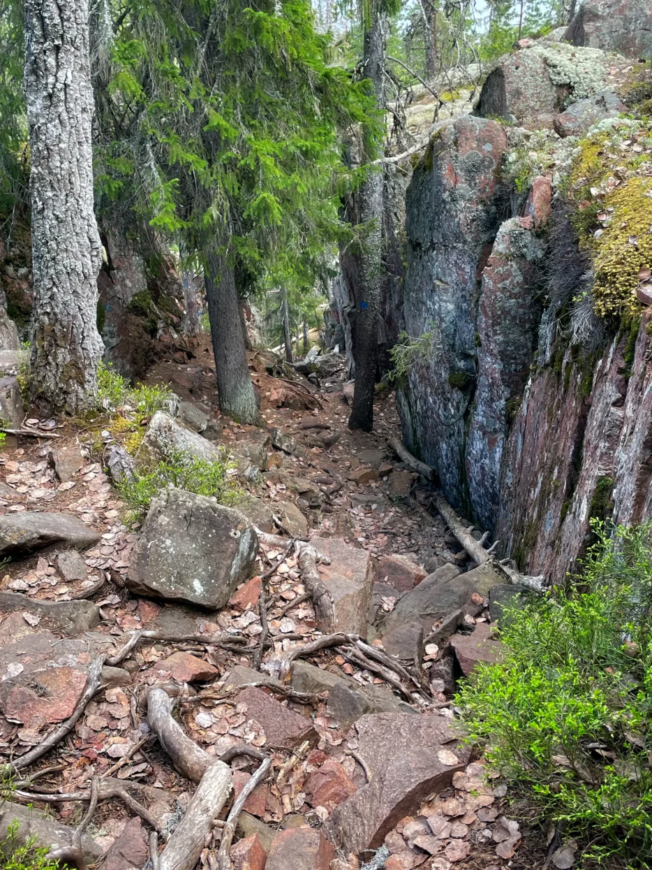 Skuleskogen NP