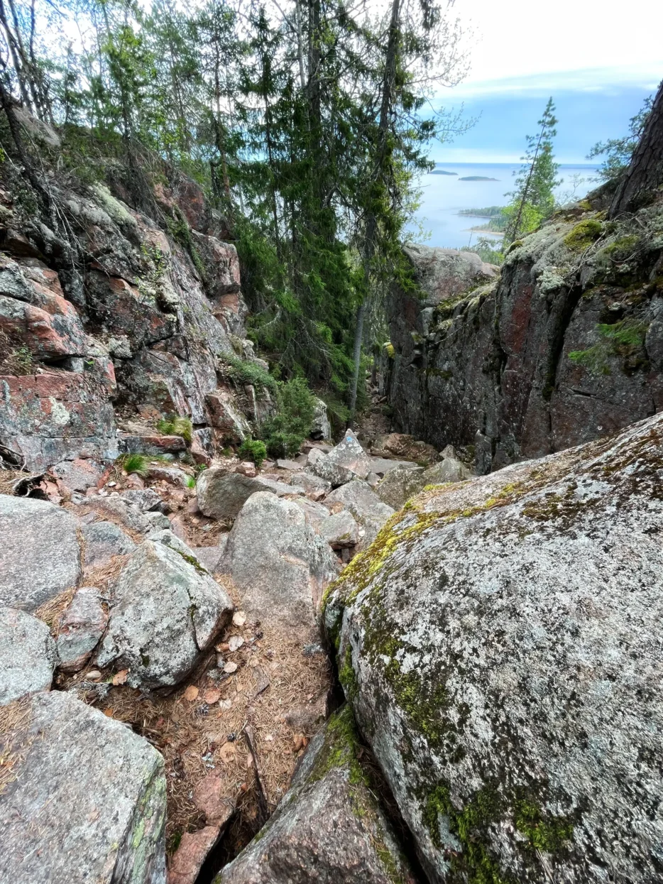 Skuleskogen NP
