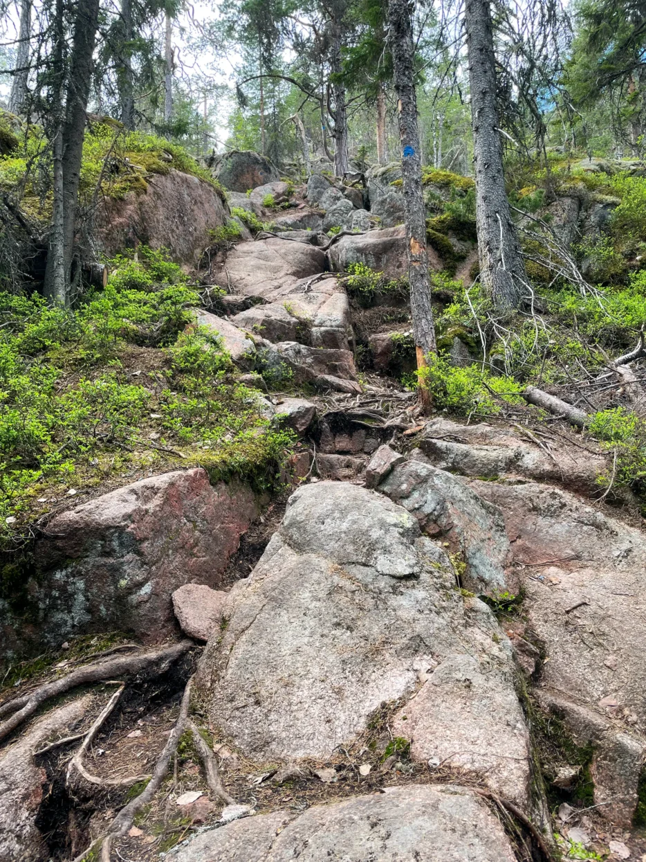 Skuleskogen NP