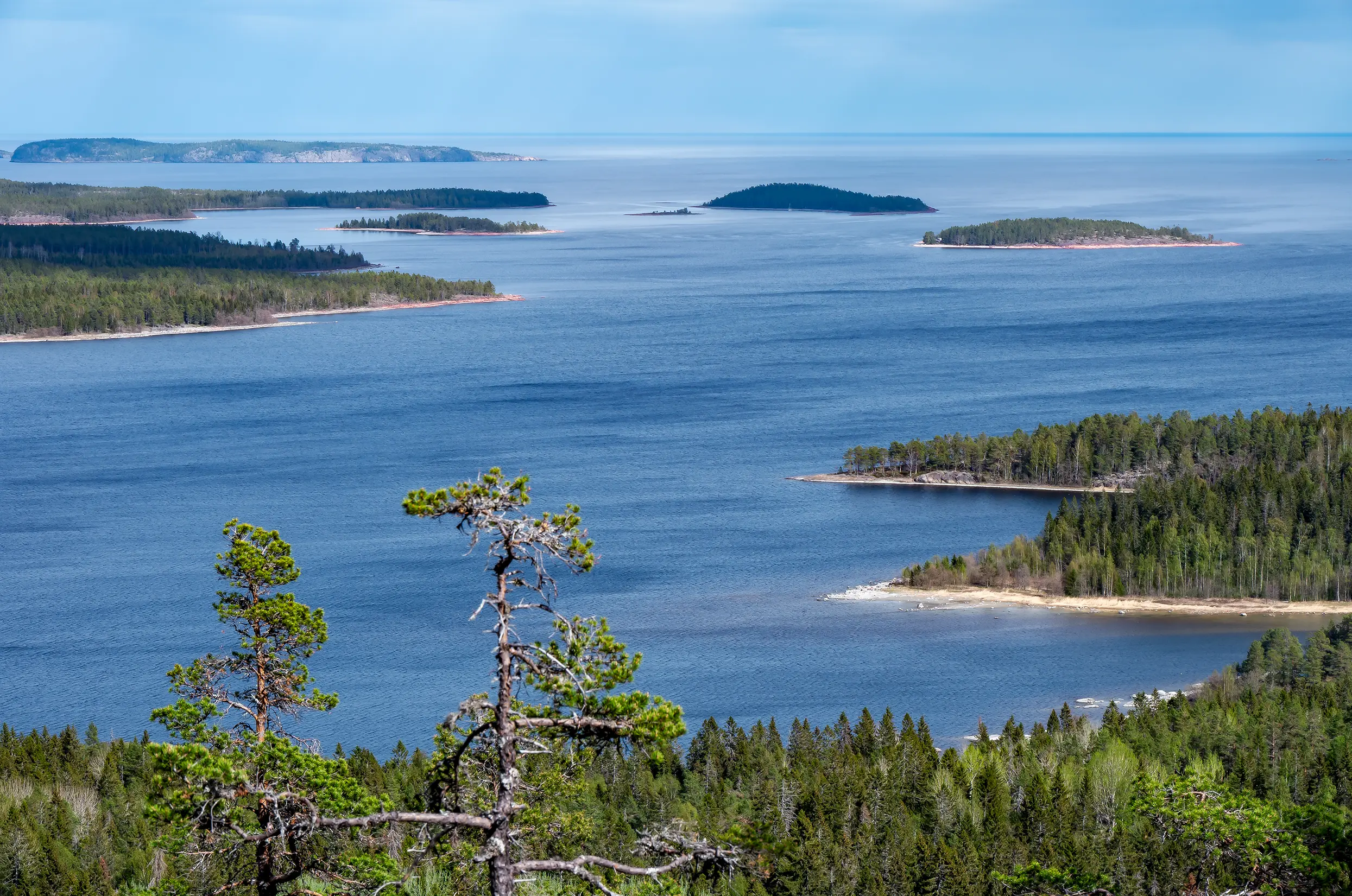 Skuleskogen NP