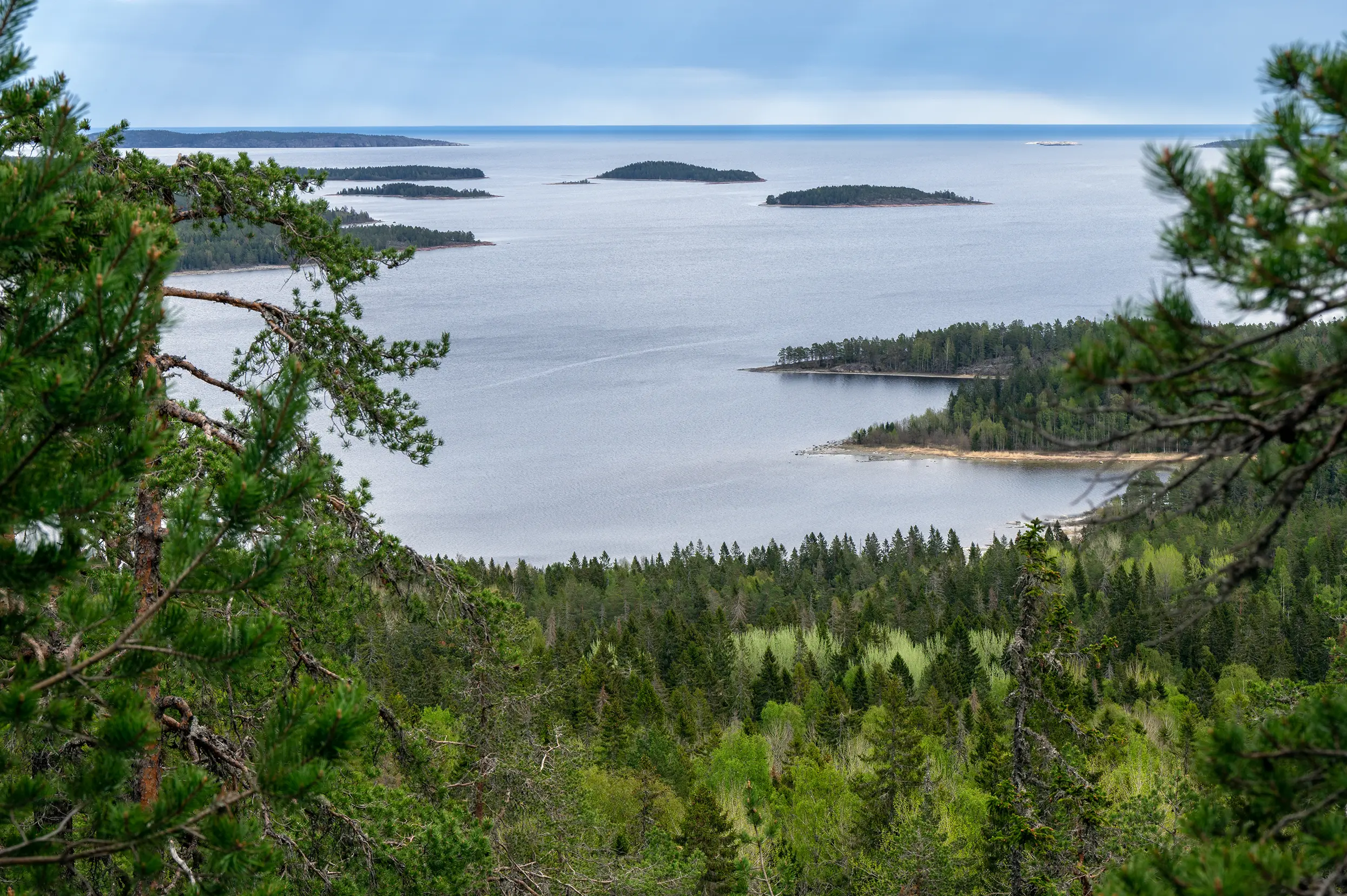Skuleskogen NP
