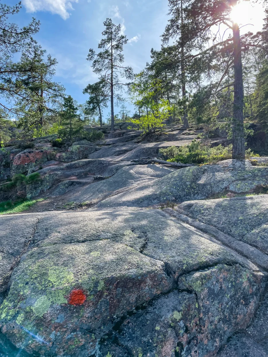 Skuleskogen NP