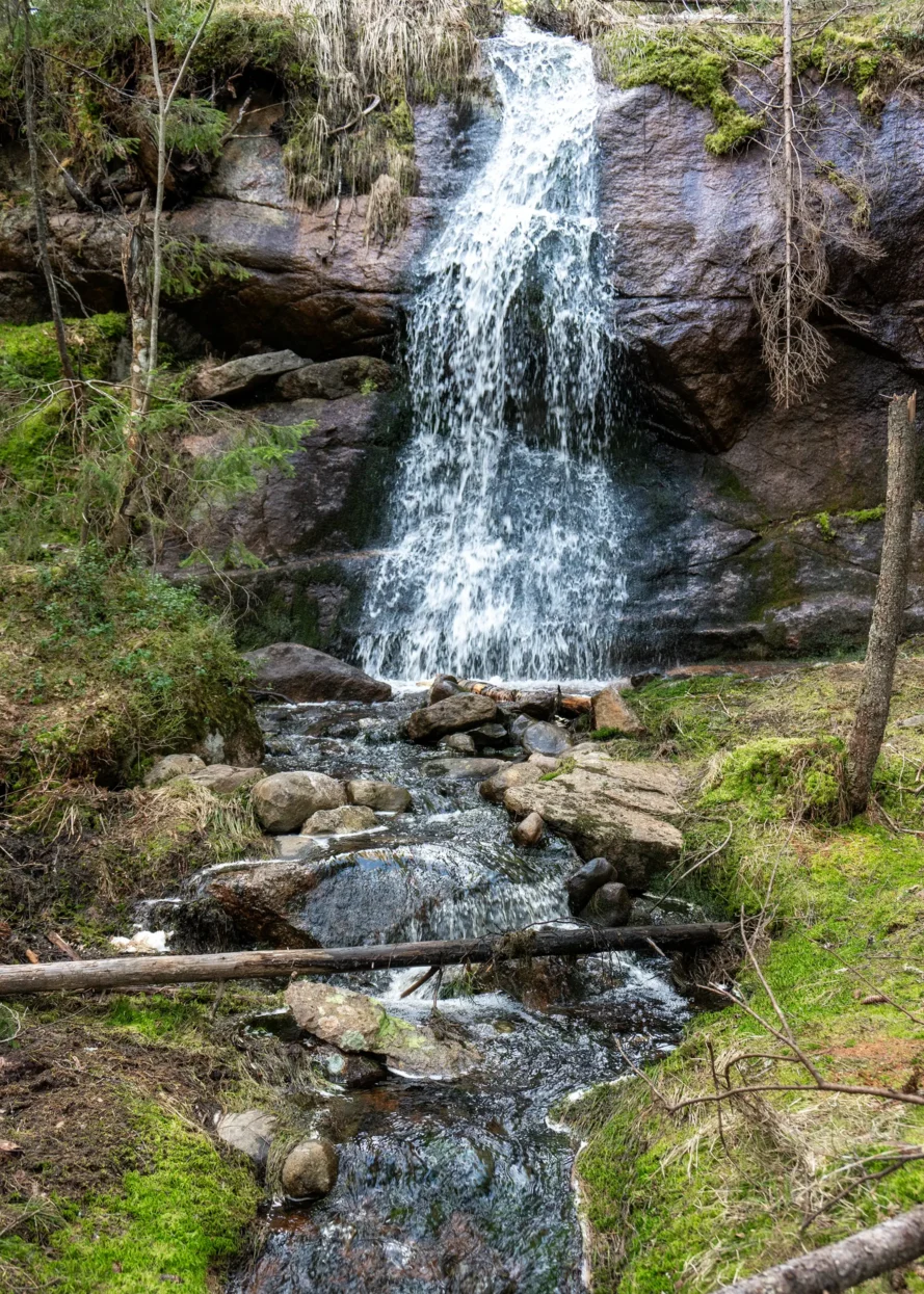 Skuleskogen NP
