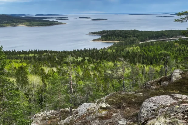 Skuleskogen NP