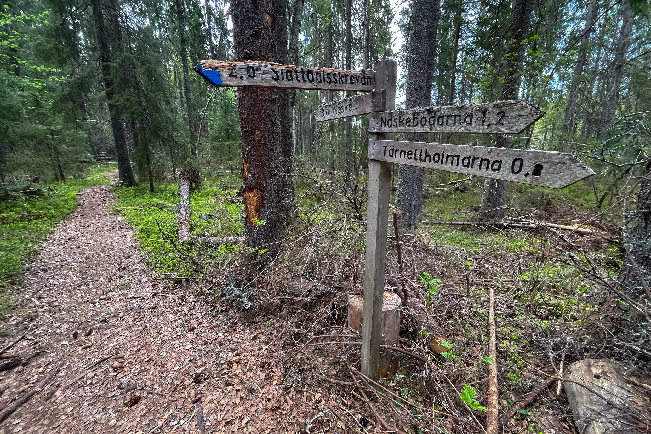 Tarnattholmarna